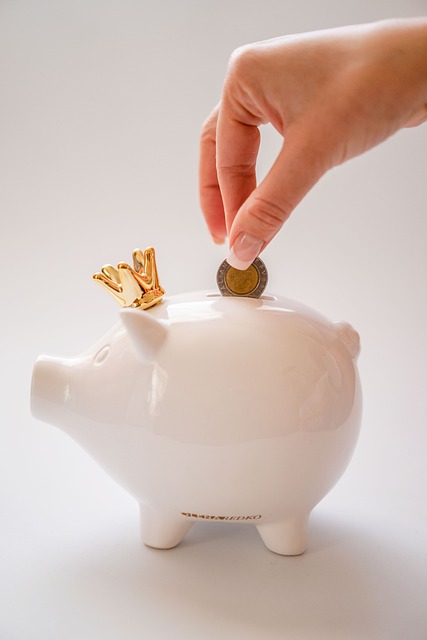 Budget planning educator portrait